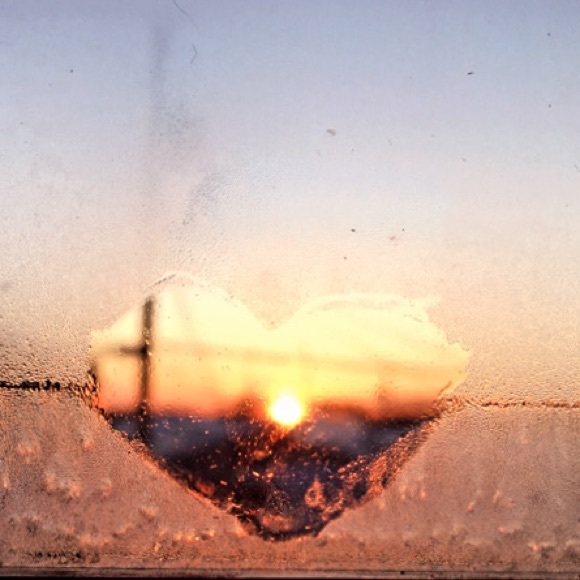 Meet your Posher, Sasha - Picture 1 of 1